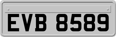 EVB8589