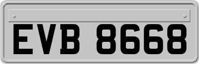EVB8668
