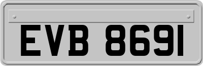 EVB8691