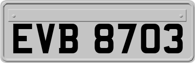 EVB8703
