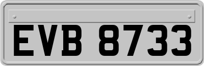 EVB8733