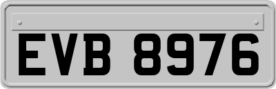 EVB8976
