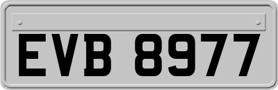 EVB8977