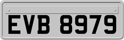 EVB8979