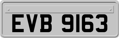 EVB9163