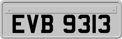 EVB9313