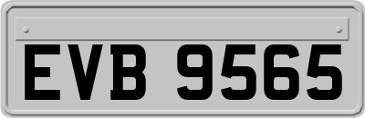 EVB9565