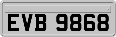 EVB9868