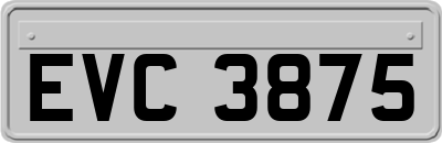 EVC3875