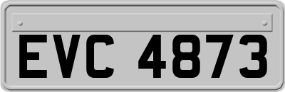 EVC4873