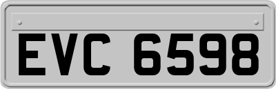 EVC6598