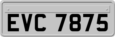 EVC7875