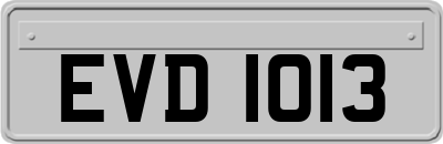 EVD1013
