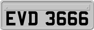 EVD3666