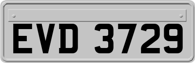 EVD3729