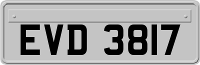 EVD3817