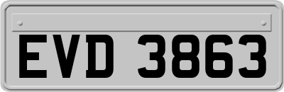 EVD3863