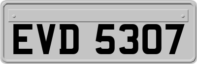 EVD5307