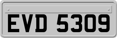 EVD5309