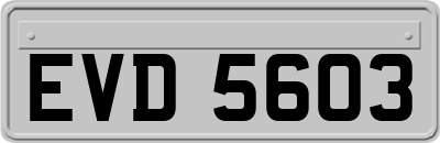 EVD5603
