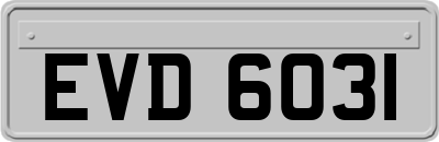 EVD6031