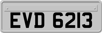 EVD6213
