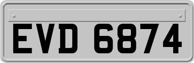 EVD6874