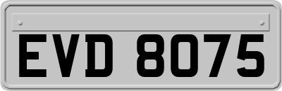 EVD8075