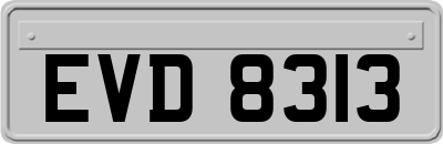 EVD8313