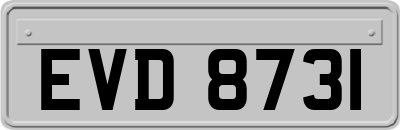EVD8731