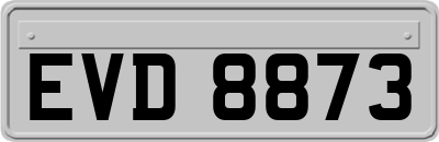 EVD8873