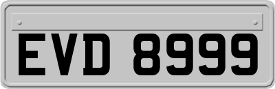 EVD8999