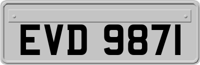 EVD9871
