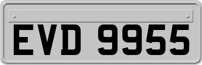 EVD9955