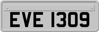 EVE1309