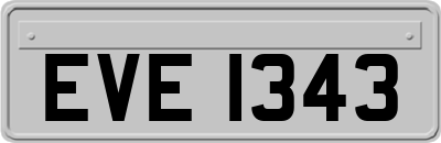EVE1343
