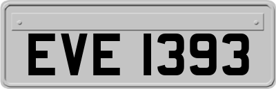 EVE1393