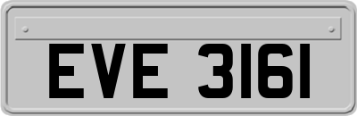 EVE3161