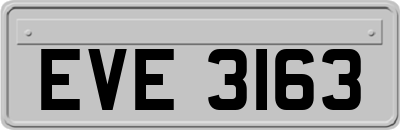 EVE3163