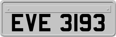 EVE3193