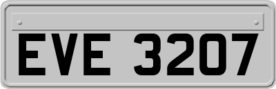 EVE3207