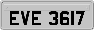 EVE3617