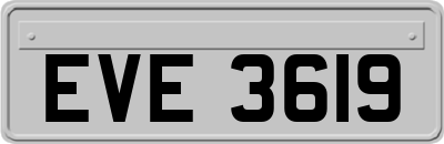 EVE3619