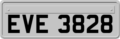 EVE3828