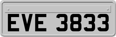 EVE3833