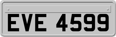 EVE4599