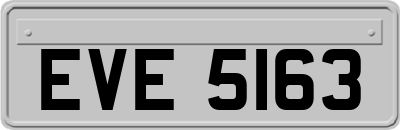 EVE5163