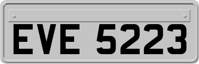 EVE5223