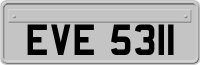 EVE5311