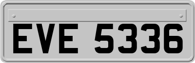 EVE5336
